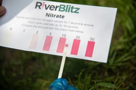 A sheet used to detect nitrate levels