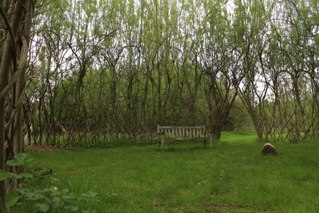 Outdoor space for hire at Grow Wilder