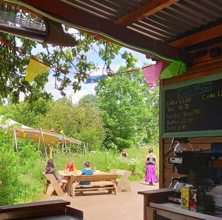 View from outdoor kitchen at Grow Wilder