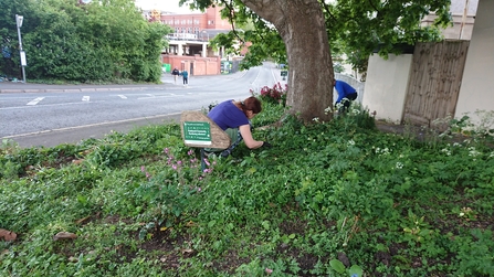 BS3 Patchwork Community Gardening Group 