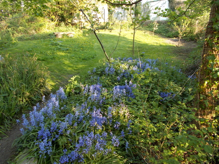 BS3 Wildlife Garden