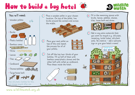 Instructions on how to build a bug hotel