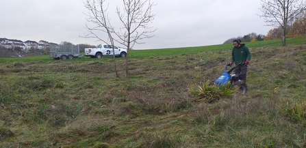 Manor Woods Valley meadow management