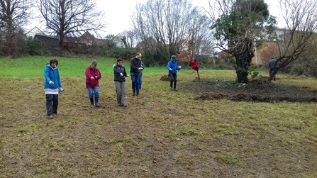 Manor Woods Valley Meadow planting