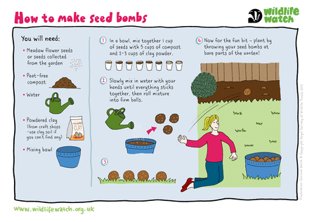 Instructions on how to make a seed bomb