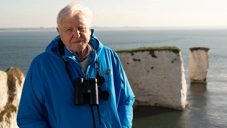 Sir David Attenborough introduces the Wild Isles series at dawn at Old Harry's Rocks, Dorset 