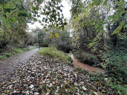 Brook path at Thornbury Orchard Group