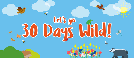 Let's go 30 Days Wild