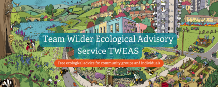 Team Wilder Ecological Advisory Service