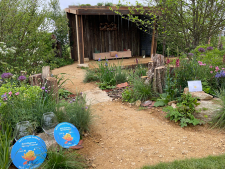 The Wildlife Trusts: Wilder Spaces garden