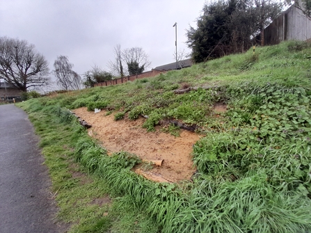 Thornbury Orchard Group bee bank