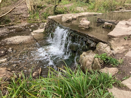 Weir from Trout in the Trym