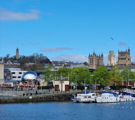 View of harbourside 