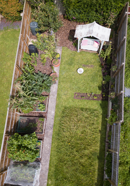 Wildlife friendly food growing garden