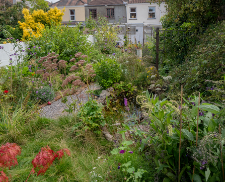 Individual wildlife garden in BS16