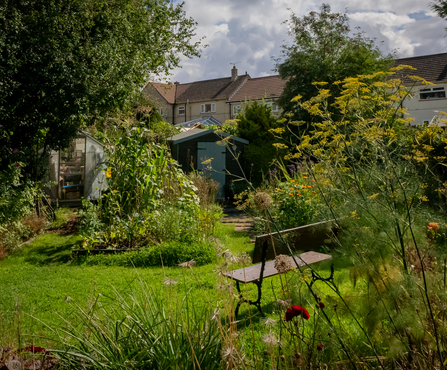 Individual wildlife garden in Yate