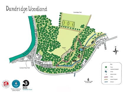 Dundridge Woodland Map, (c) Rebecca Howard