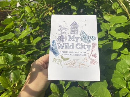 My Wild City Pocket Guide, (c) Persephone Coelho