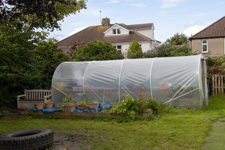 Horfield Church of England Primary polytunnel