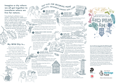 My Wild City Activities, by Illustrator Persephone Coelho