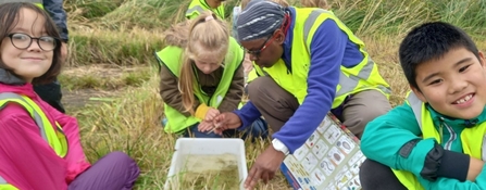 Students from Our Lady of the Rosary Primary School pond dipping