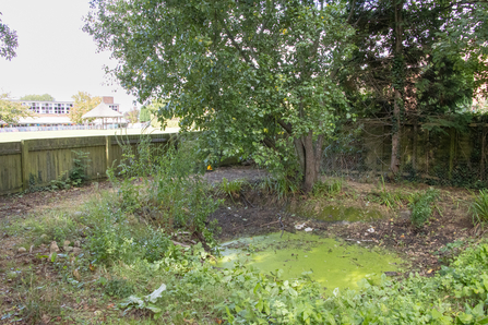 Horfield Church of England pond with trees around and a fence