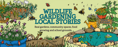 Wildlife gardening competition stories