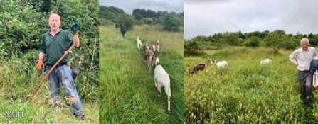 Matt and other Wild CAT volunteers with the goats 