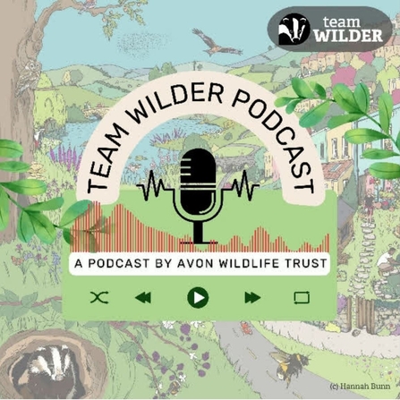 Team Wilder Podcast about wildlife champions
