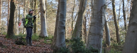 Staff surveying trees at Goblin Combe