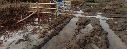 Damage to Yew Tree Farm