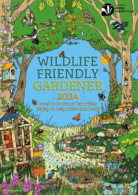 Wildlife gardening competition certificate 2024