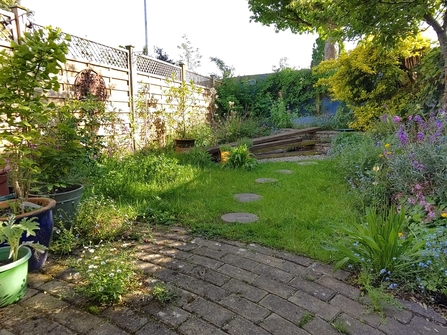 No Mow May garden grass growing longer on edges on lawn