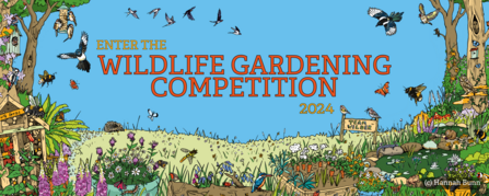 Wildlife gardening competition 2024 illustrated banner