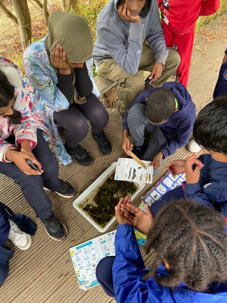 Black2Nature at Grow Wilder pond dipping