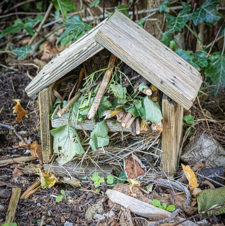 School Stoke Bishop Bug Hotel
