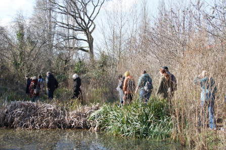 People follow a member of the Youth Leadership Group around a pond at Grow Wilder