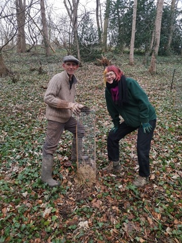 Mount Skitham Conservation Woodland