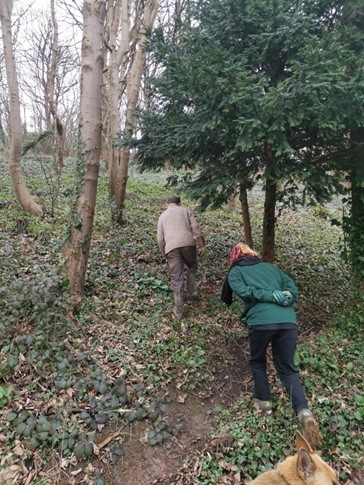 Mount Skitham Conservation Woodland 2