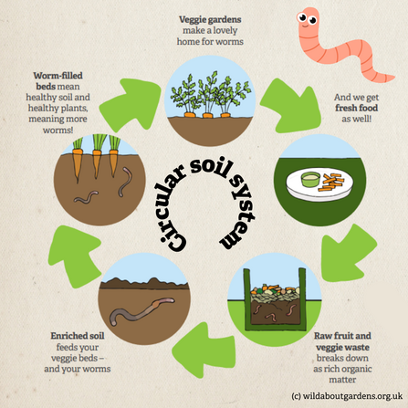 Circular soil system from Wild About Gardens
