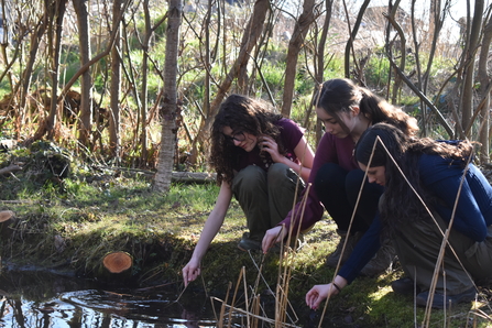 three girls crouching down to the pond