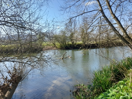 River Avon