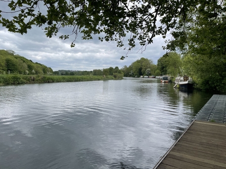 River view Saltford Paddle
