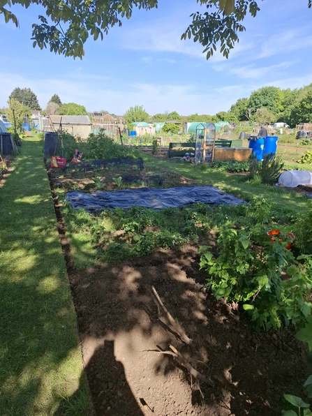 An allotment