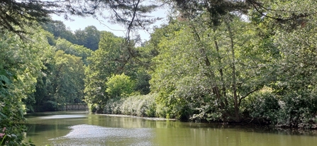 River Avon