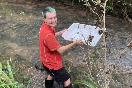 Riverfly moniting