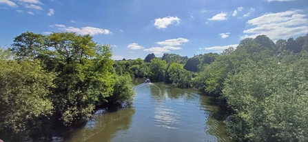 River Avon treeline with blue sky