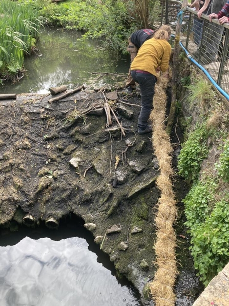 An eel rope being installed in the weir at Westbury Wildlife Park