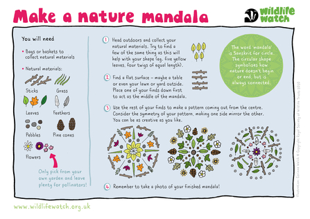Make a nature mandala