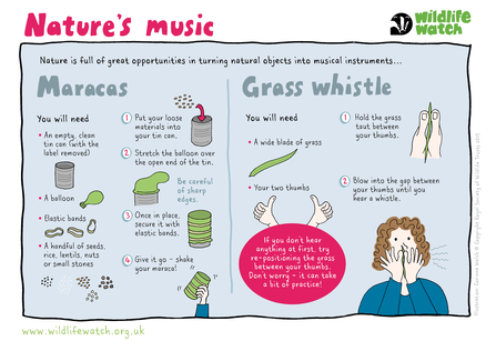 Nature's music